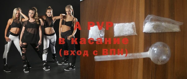 хмурый Магас