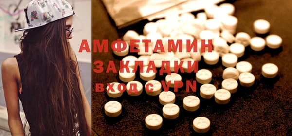 хмурый Магас