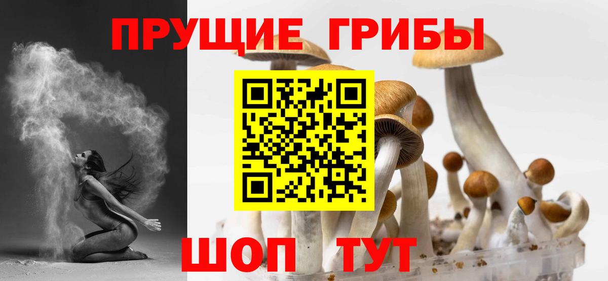 Назарово  Псилоцибиновые грибы мухоморы  Вход с VPN  Галлюциногенные грибы Magic Shrooms 